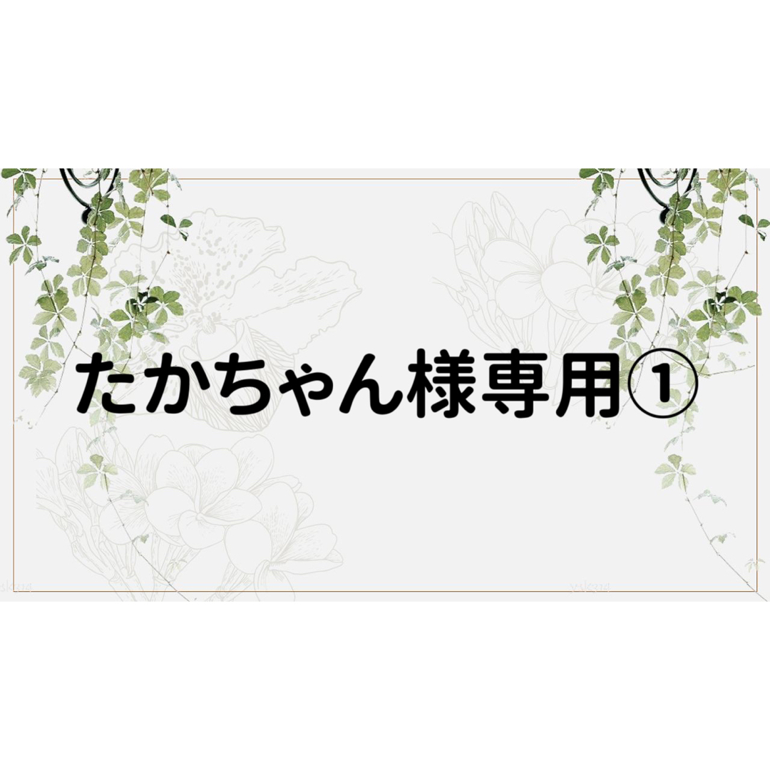 たかちゃん様専用ページ① | フリマアプリ ラクマ