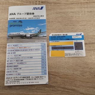 エーエヌエー(ゼンニッポンクウユ)(ANA(全日本空輸))のANA 株主優待券 1枚 有効期間2024年5月31日まで(航空券)