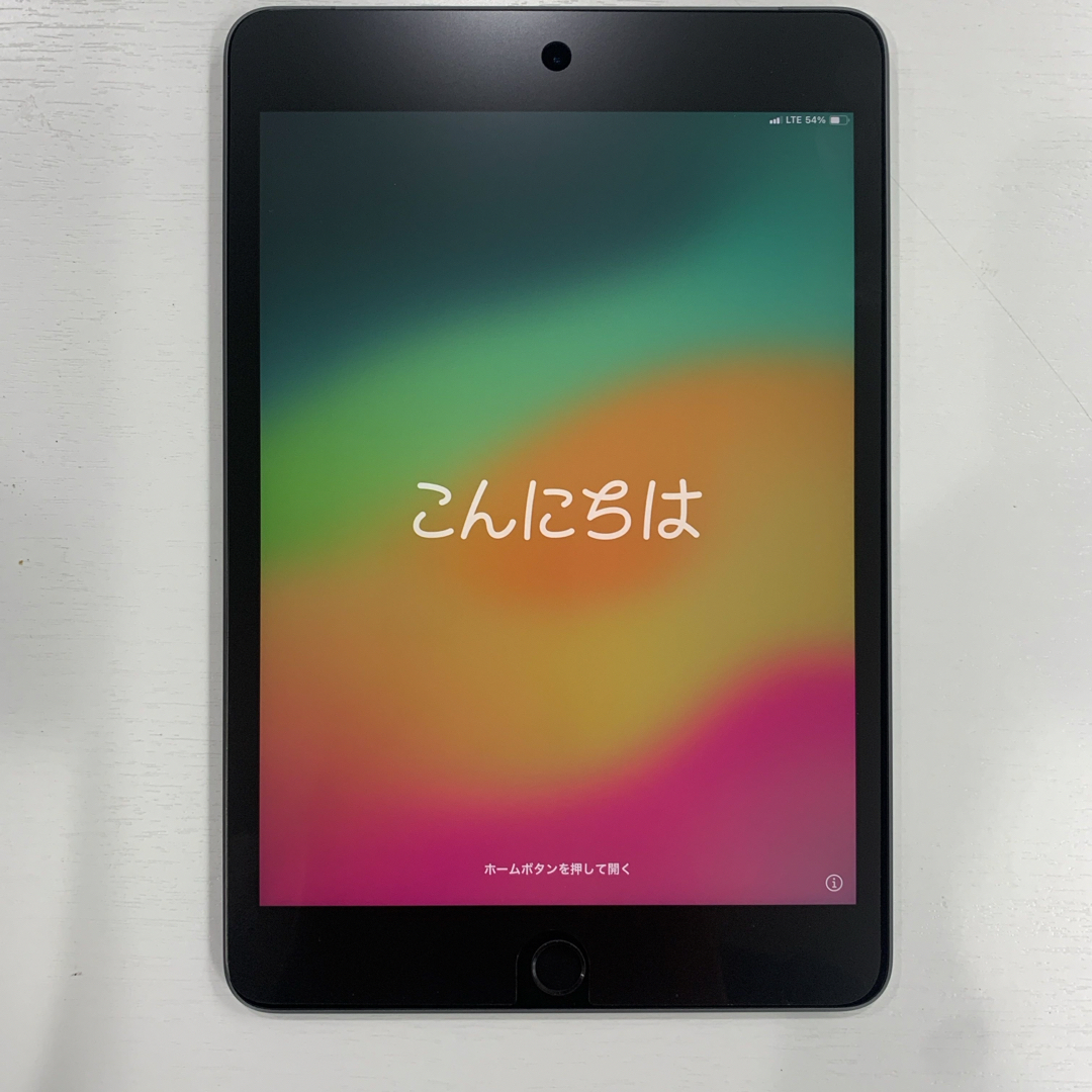 iPad mini 第5世代 256GB Wi-Fi+Cellularモデル