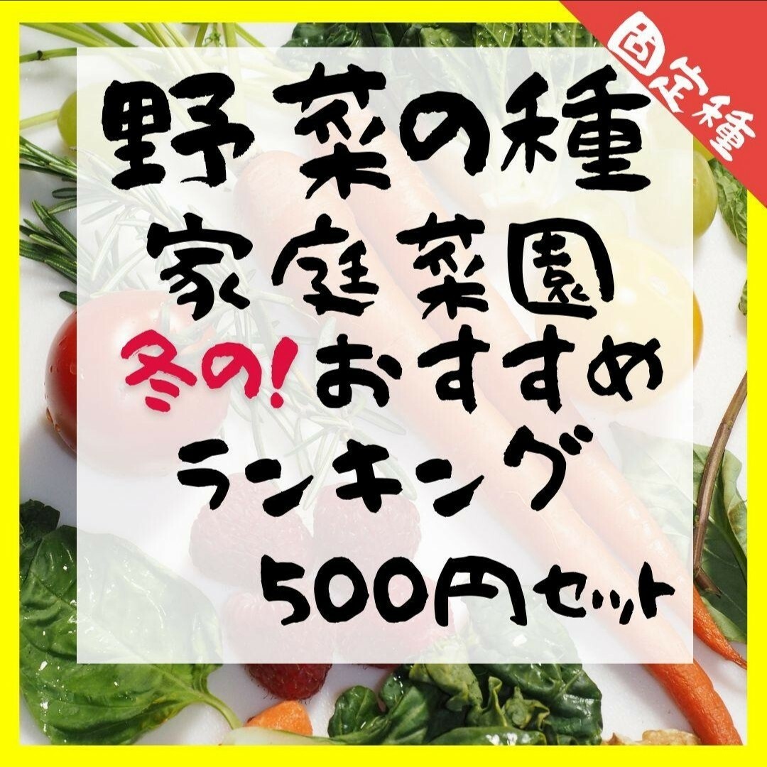 野菜の種　家庭菜園おすすめランキング！　500円セット 2023年 食品/飲料/酒の食品(野菜)の商品写真