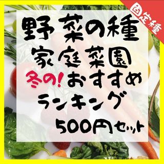 野菜の種　家庭菜園おすすめランキング！　500円セット 2023年(野菜)