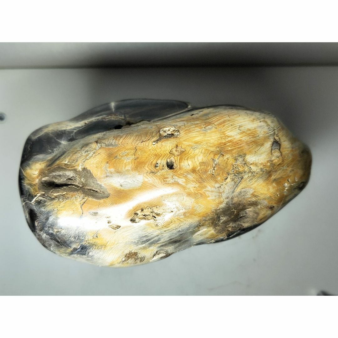 珪化木 9.4kg 碧玉 ジャスパー 原石 鑑賞石 自然石 誕生石 鉱物 水石-
