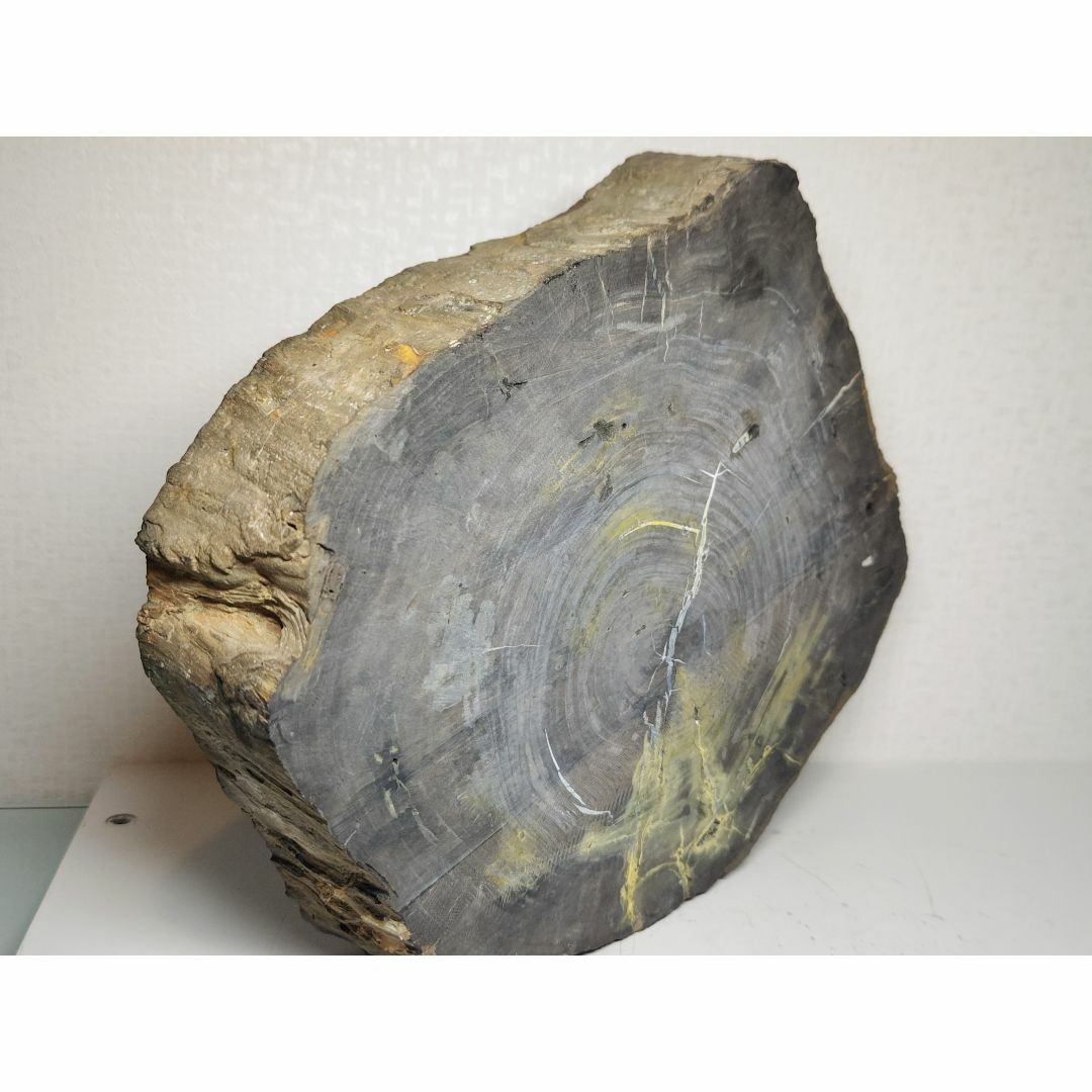 珪化木 9.6kg ジャスパー 碧玉 原石 鑑賞石 自然石 水石 誕生石 鉱物