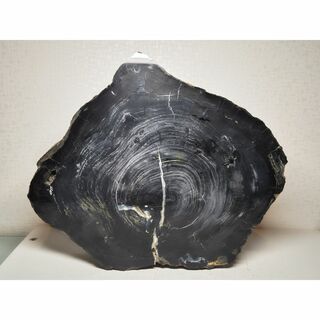 珪化木 9.4kg 碧玉 ジャスパー 原石 鑑賞石 自然石 誕生石 鉱物 水石-