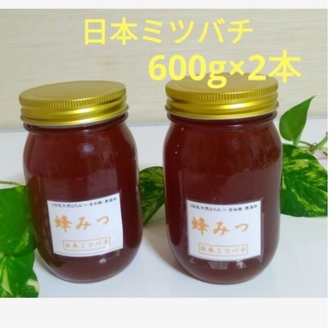 日本ミツバチの蜂蜜  600g×2本 食品/飲料/酒の食品(その他)の商品写真