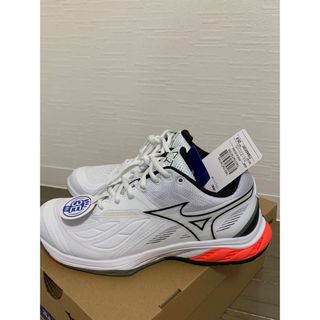 ミズノ(MIZUNO)のミズノ　バドミントンシューズ(バドミントン)