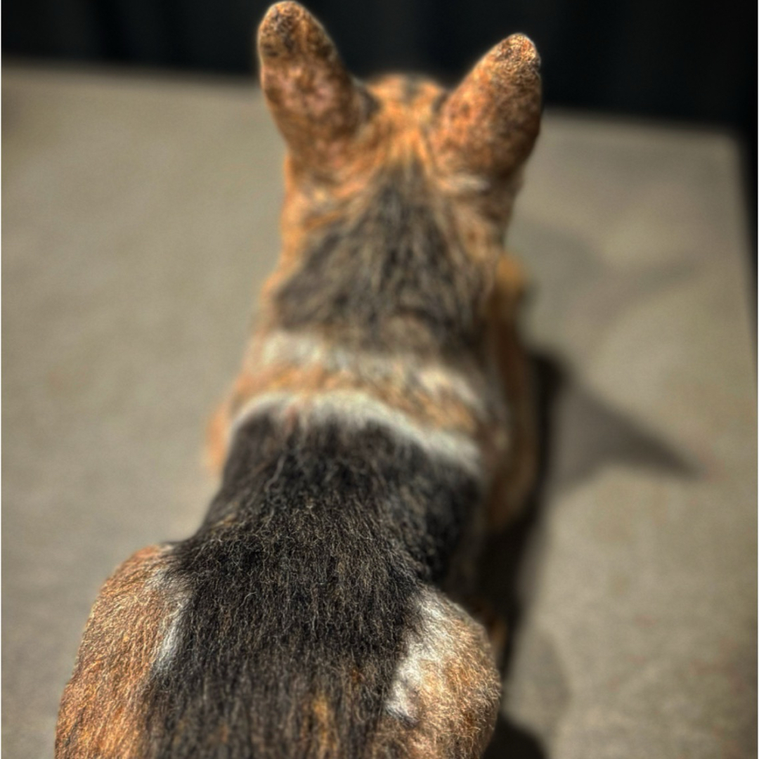 羊毛フェルト　ハンドメイド　シェパード　犬　ジャーマンシェパードドッグ　警察犬 ハンドメイドのぬいぐるみ/人形(人形)の商品写真