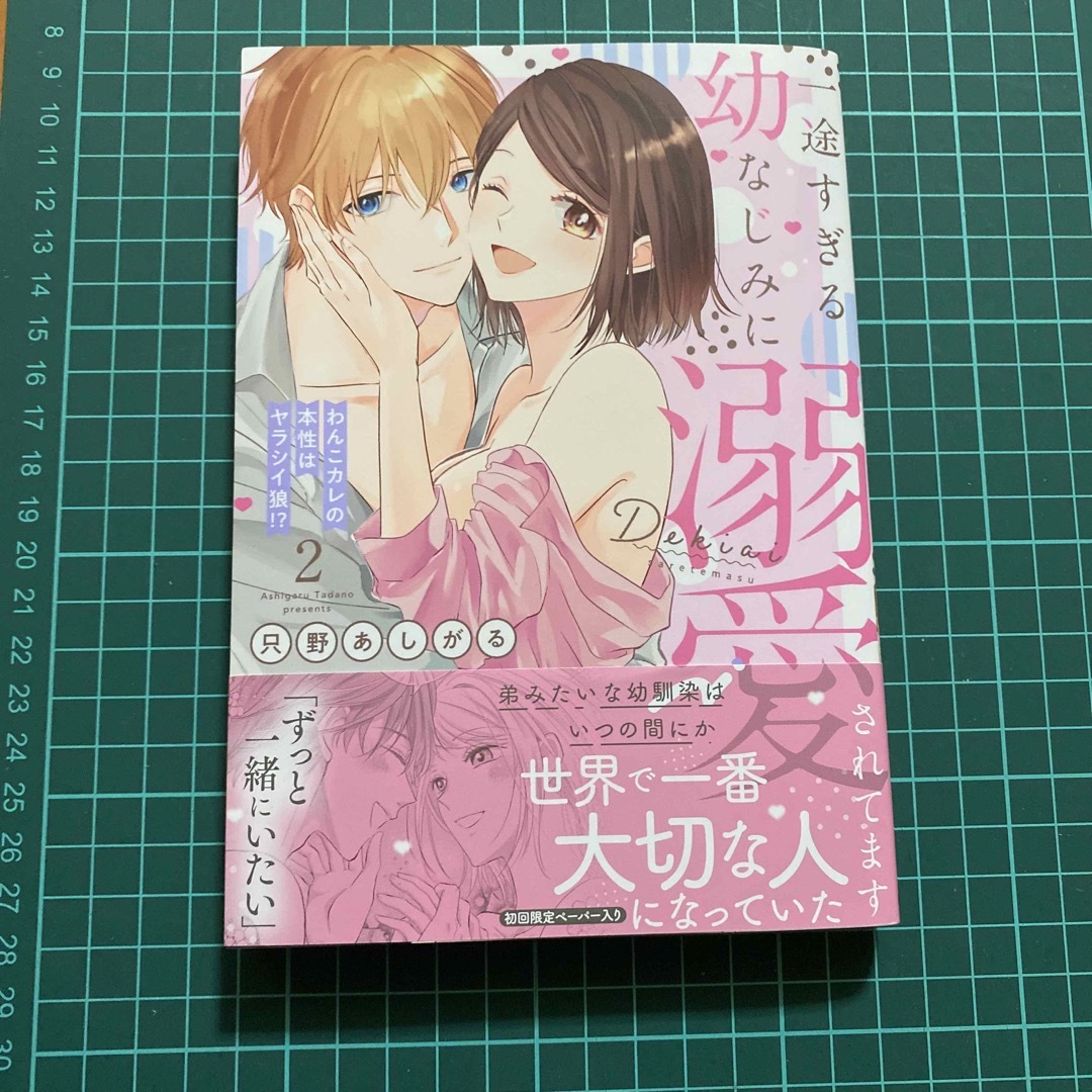 一途すぎる幼なじみに溺愛されてます わんこカレの本性はヤラシイ狼