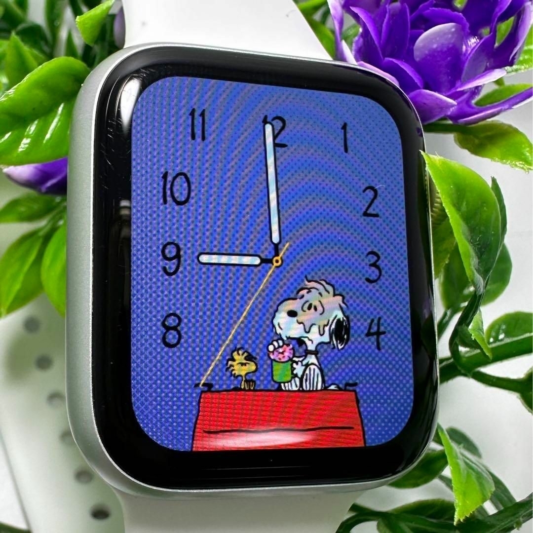 Apple - 【最終値下げ】SE 第1世代 GPS 40mm シルバーアルミニウムの