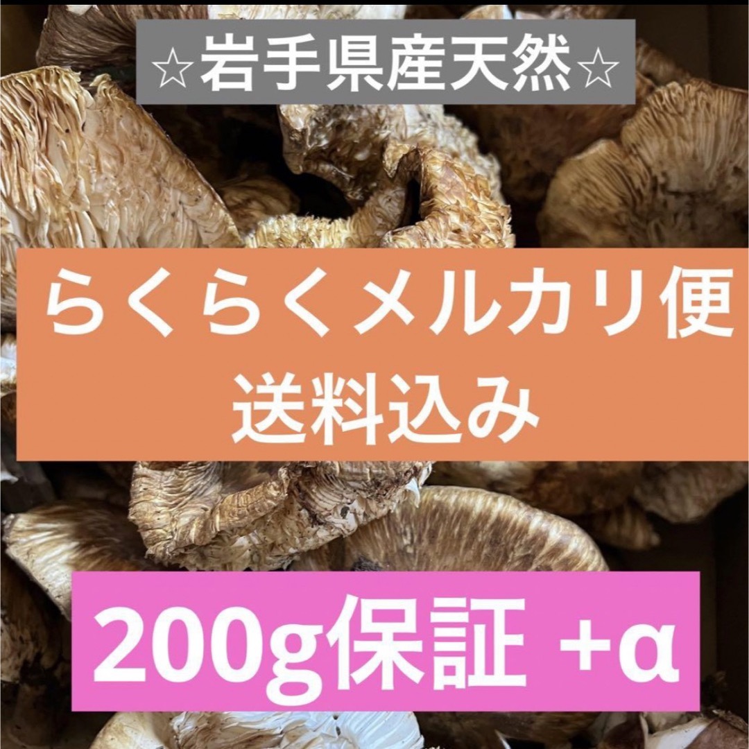 岩手県産 朝取り松茸 本日中限定食品-