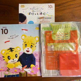 ベネッセ(Benesse)のえらんであつめておみせやさん　こどもちゃれんじ しまじろう ぽけっと　10月号　(知育玩具)