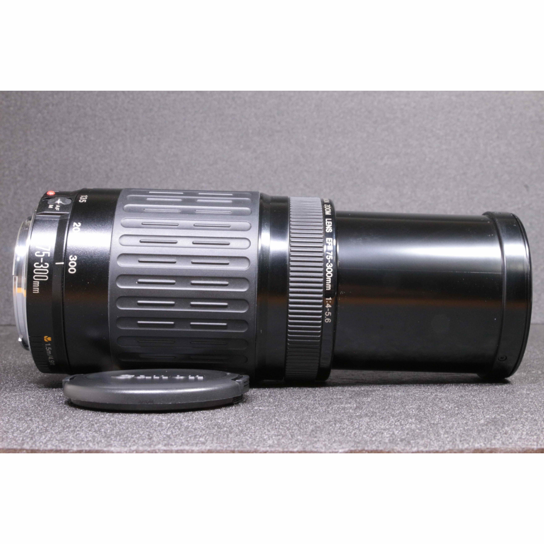 ✨安心保証✨CANON EF 75-300mm f/4-5.6