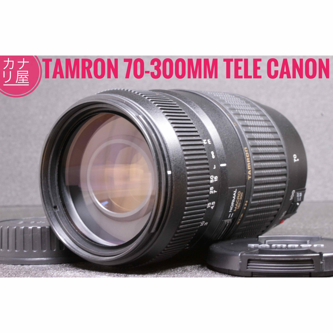 ✨安心保証✨TAMRON AF 70-300mm f/4-5.6 CANONのサムネイル