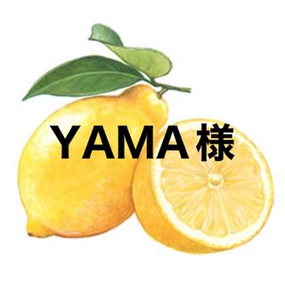 YAMA様😄🌺(その他)