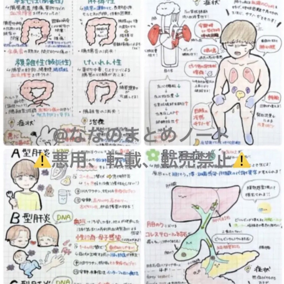 解剖生理+重要項目+頻出疾患まとめノート 3セット