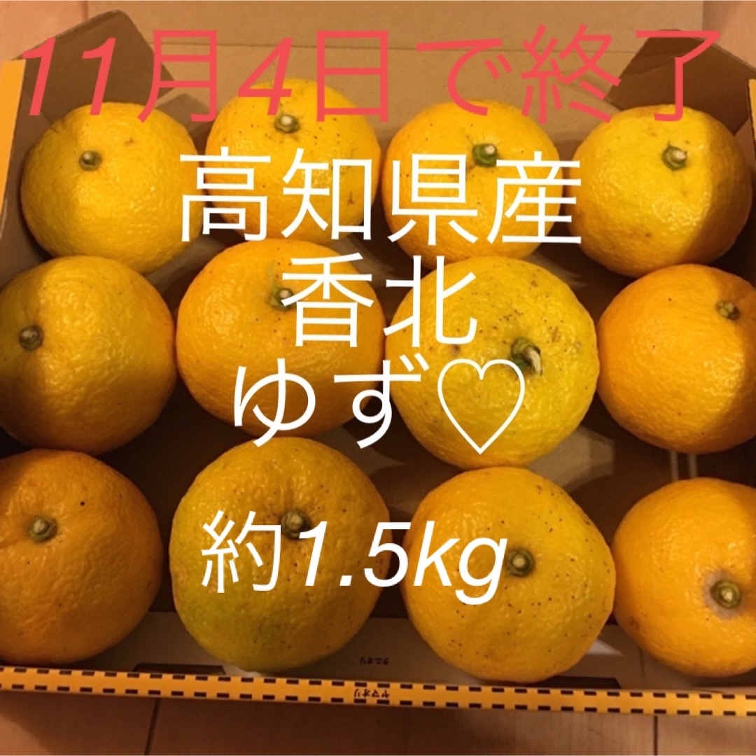 高知県産　柚子玉　未消毒 食品/飲料/酒の食品(フルーツ)の商品写真