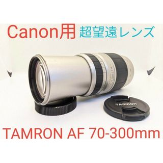 タムロン(TAMRON)の超望遠レンズ【Canon用】タムロン AF 70-300mm MACRO(レンズ(ズーム))