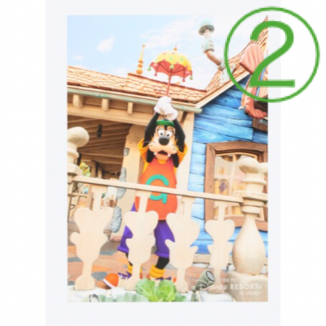 ディズニー公式写真  グーフィー エンタメ/ホビーのおもちゃ/ぬいぐるみ(キャラクターグッズ)の商品写真