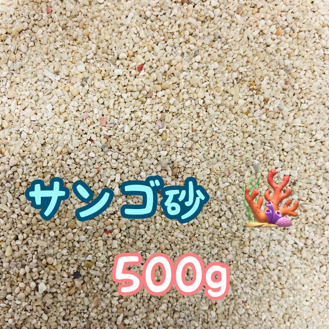 天然サンゴ砂 珊瑚砂 さんご砂 ろ材 海水水槽 ヤドカリ グッピー その他のペット用品(アクアリウム)の商品写真