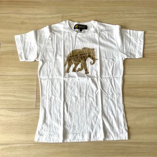 ハンティングワールド(HUNTING WORLD)のTシャツ* HUNTING WORLD(Tシャツ(半袖/袖なし))