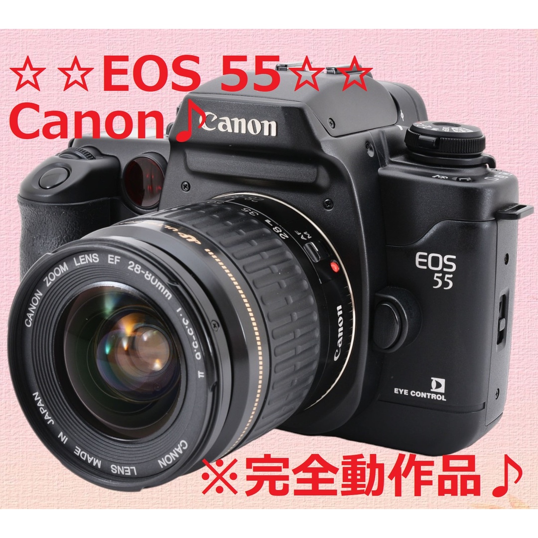 フィルムカメラ入門機種にも最高 Canon キャノン EOS 55 #6292