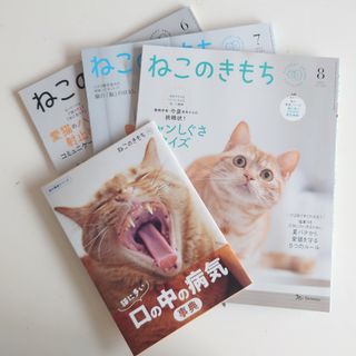 ベネッセ(Benesse)のねこのきもち2023.6月7月8月ふろく付(その他)