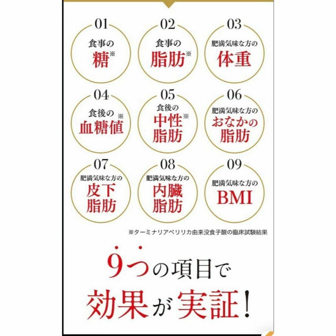 【当日配送】　ビタブリッドジャパン ターミナリアファースト 120粒　3個セット 4