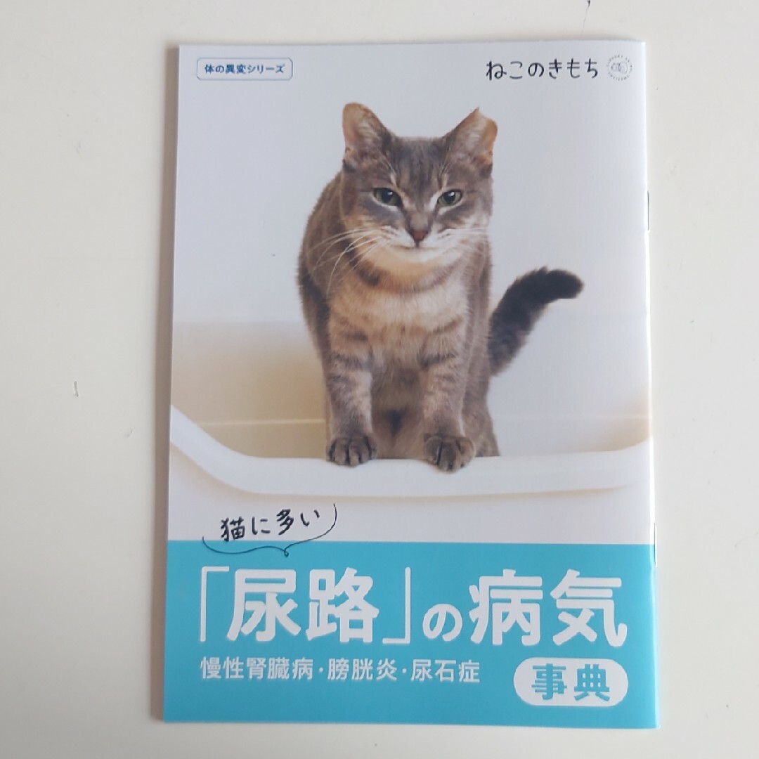 Benesse(ベネッセ)のねこのきもち2023.9月10月11月付録付き エンタメ/ホビーの雑誌(専門誌)の商品写真