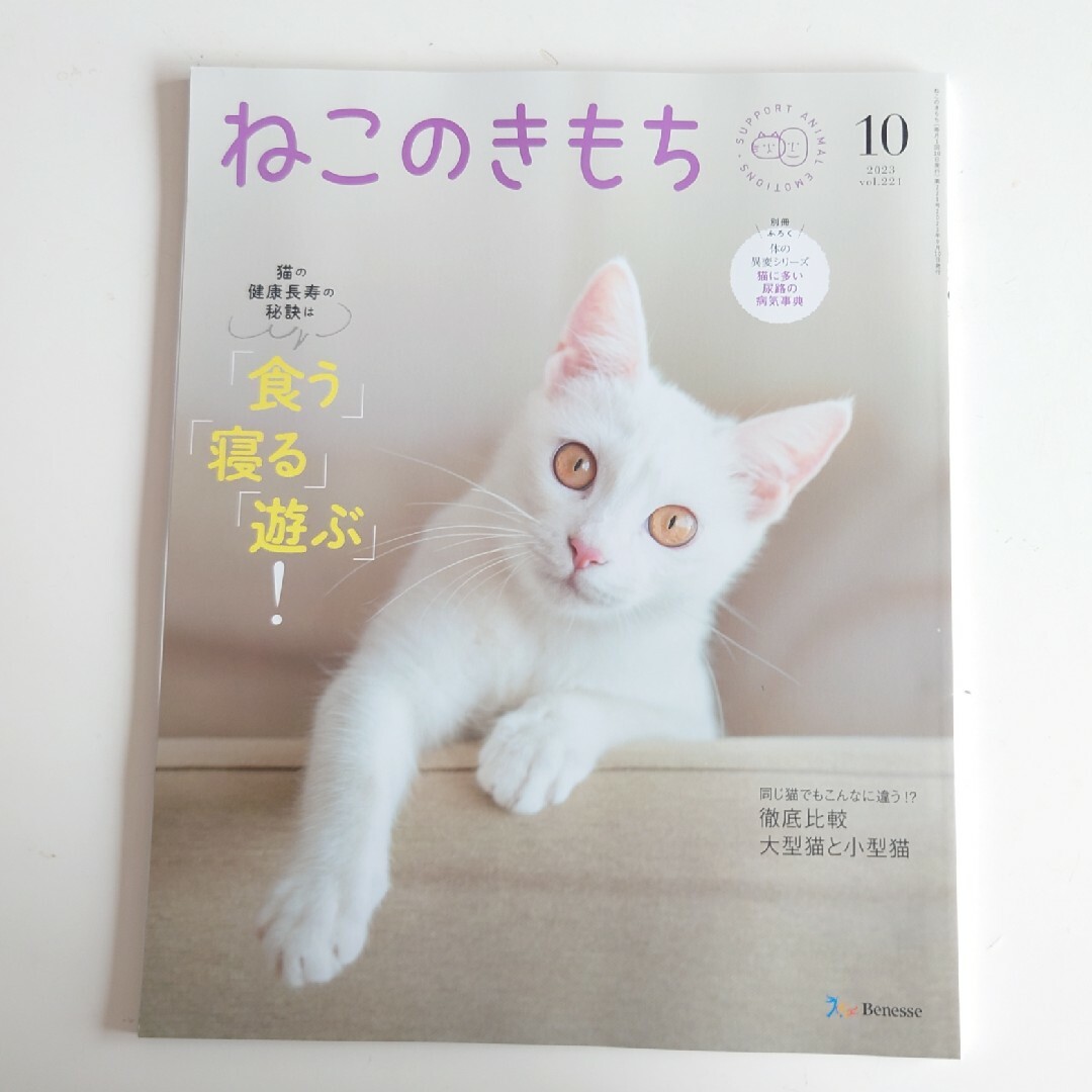 Benesse(ベネッセ)のねこのきもち2023.9月10月11月付録付き エンタメ/ホビーの雑誌(専門誌)の商品写真