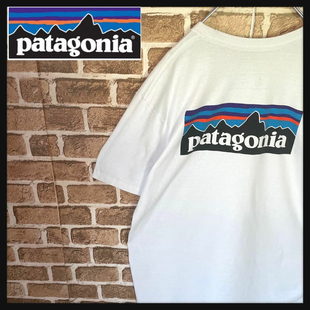【希少】パタゴニア メキシコ製 ロゴプリント 半袖 Tシャツ 白