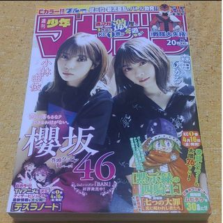 櫻坂46 森田ひかる 週刊少年マガジン  20号 応募券無し(少年漫画)