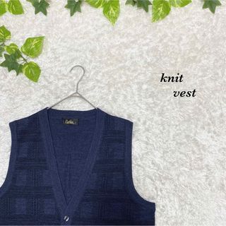 メンズベスト(パープル/紫色系)の通販 500点以上(メンズ) | お得な