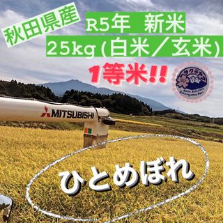 ★令和5年 ‪新米  ひとめぼれ 25kg  一等米級 秋田県産 産地直送★ (米/穀物)