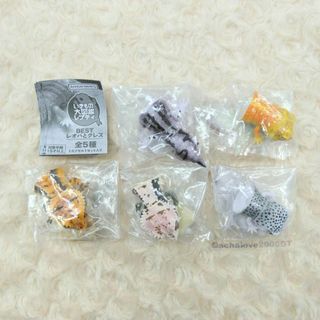 いきもの大図鑑レプティBEST レオパとクレス 全5種 フルコンプ ガチャ