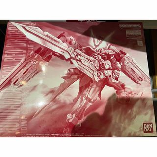 マスターグレード(Master Grade（BANDAI）)のガンダムアストレイ　レッドドラゴン　MG100/1(模型/プラモデル)