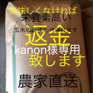 kanon様専用　新米無農薬純こしひかり120kg玄米(米/穀物)