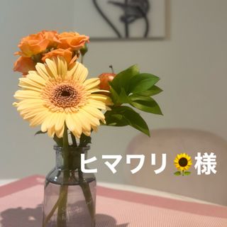 ヒマワリ🌻様 専用　ゆずイヤリング/ネックレス(その他)