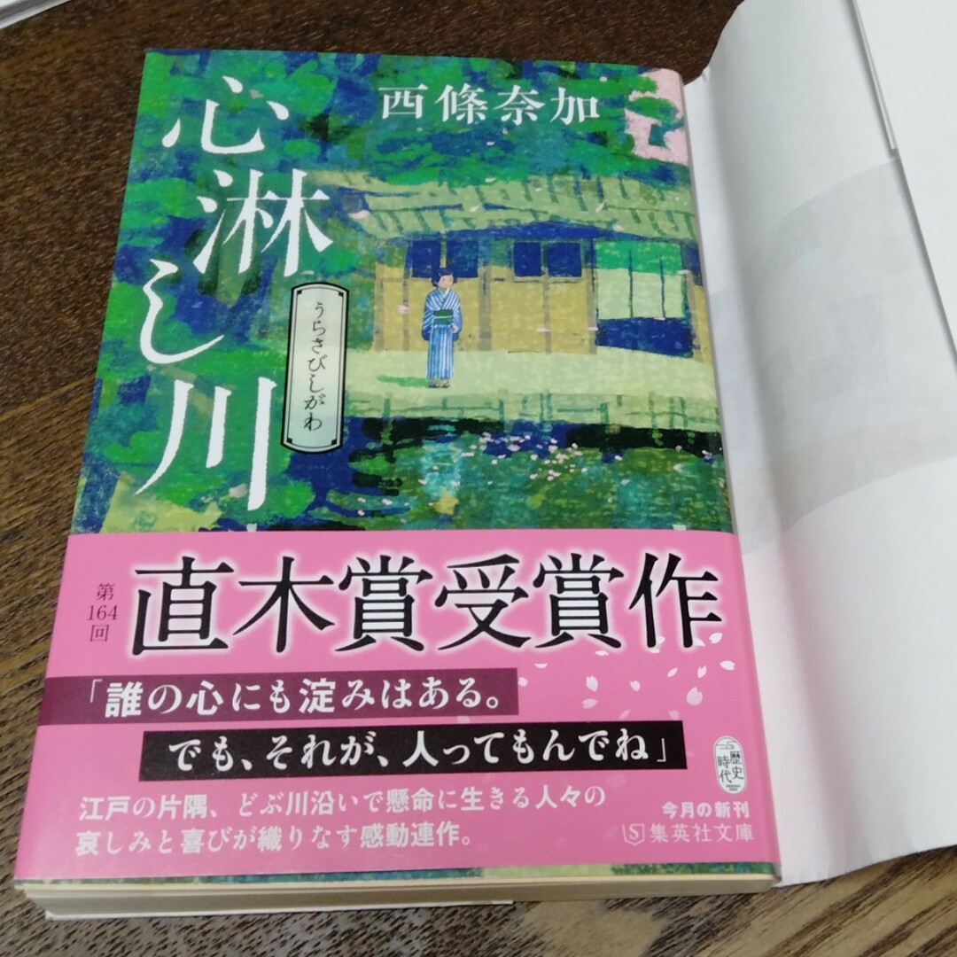 心淋し川 エンタメ/ホビーの本(その他)の商品写真