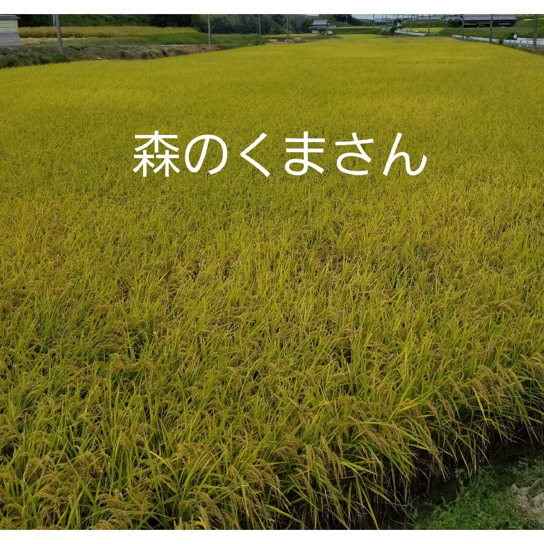 超お買い得!めっちゃうまい❗淡路島産あきたこまち❗新米玄米30kg