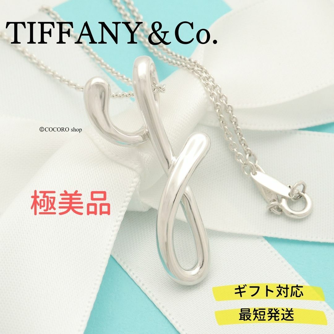 Tiffany & Co. - 【極美品】TIFFANY&Co. ミディアム レター Y