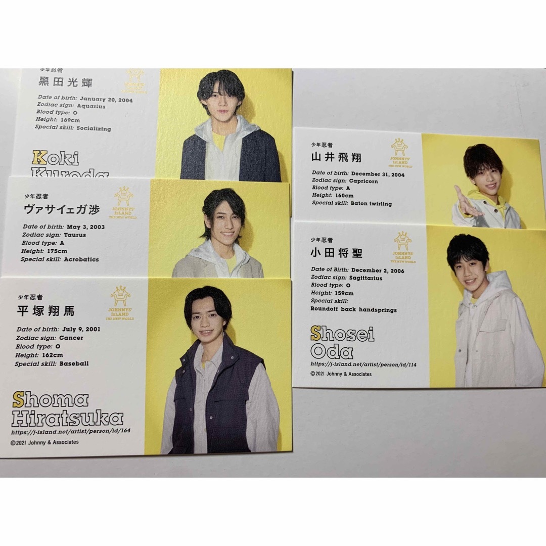 JOHNNYS'IsLAND 少年忍者プロフィールカード | フリマアプリ ラクマ JOHNNYS'IsLAND 少年忍者プロフィールカード | フリマアプリ ラクマ