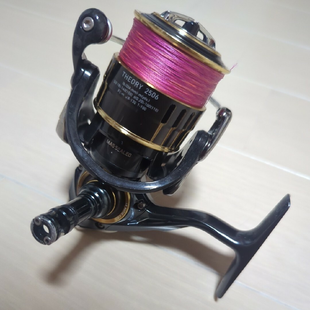 DAIWA THEORY 2506