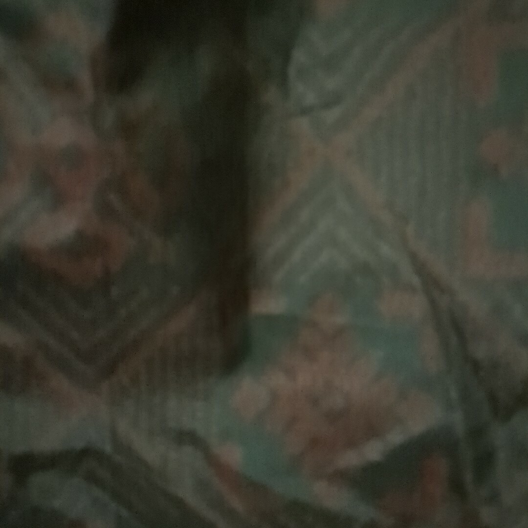 大島紬ロングスカート紐付き未使用品フリーサイズ レディースのスカート(ロングスカート)の商品写真