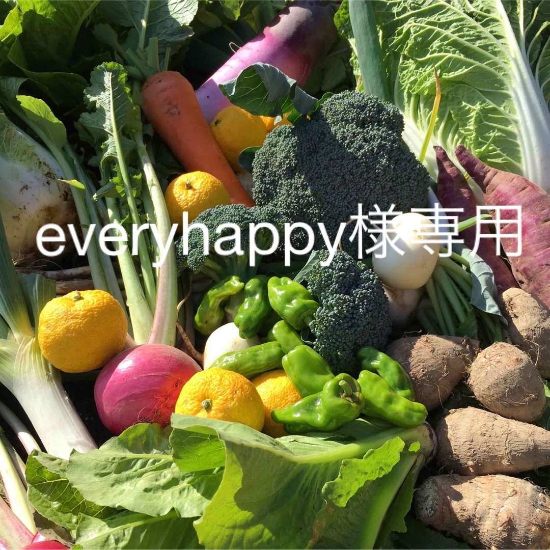 everyhappy様専用　70サイズ 食品/飲料/酒の食品(野菜)の商品写真