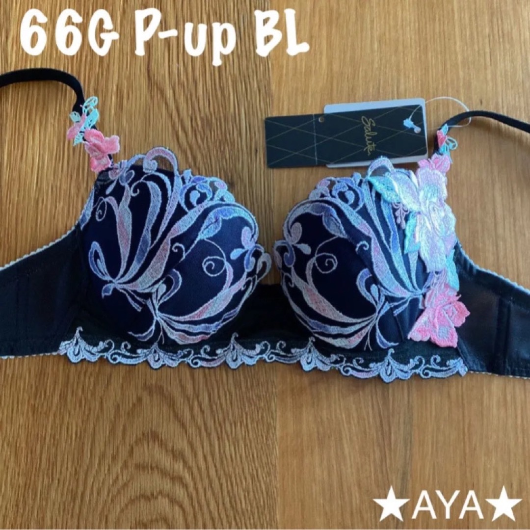 サルート 66グループ ブラ E65 & ソング M BL-