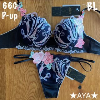 サルート 66グループ ブラ E65 & ソング M BL-