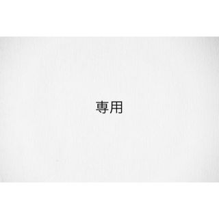 鳥(シルバー/銀色系)の通販 31点(その他) | お得な新品・中古・未