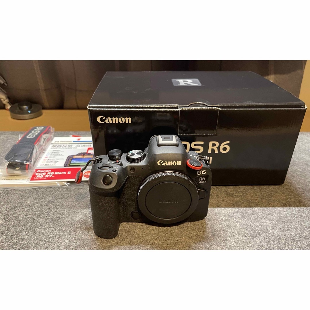 Canon キャノン EOS R6 美品