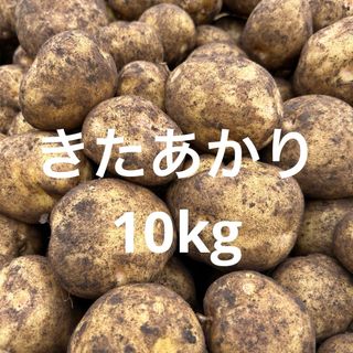 北海道産　キタアカリ10kg(野菜)