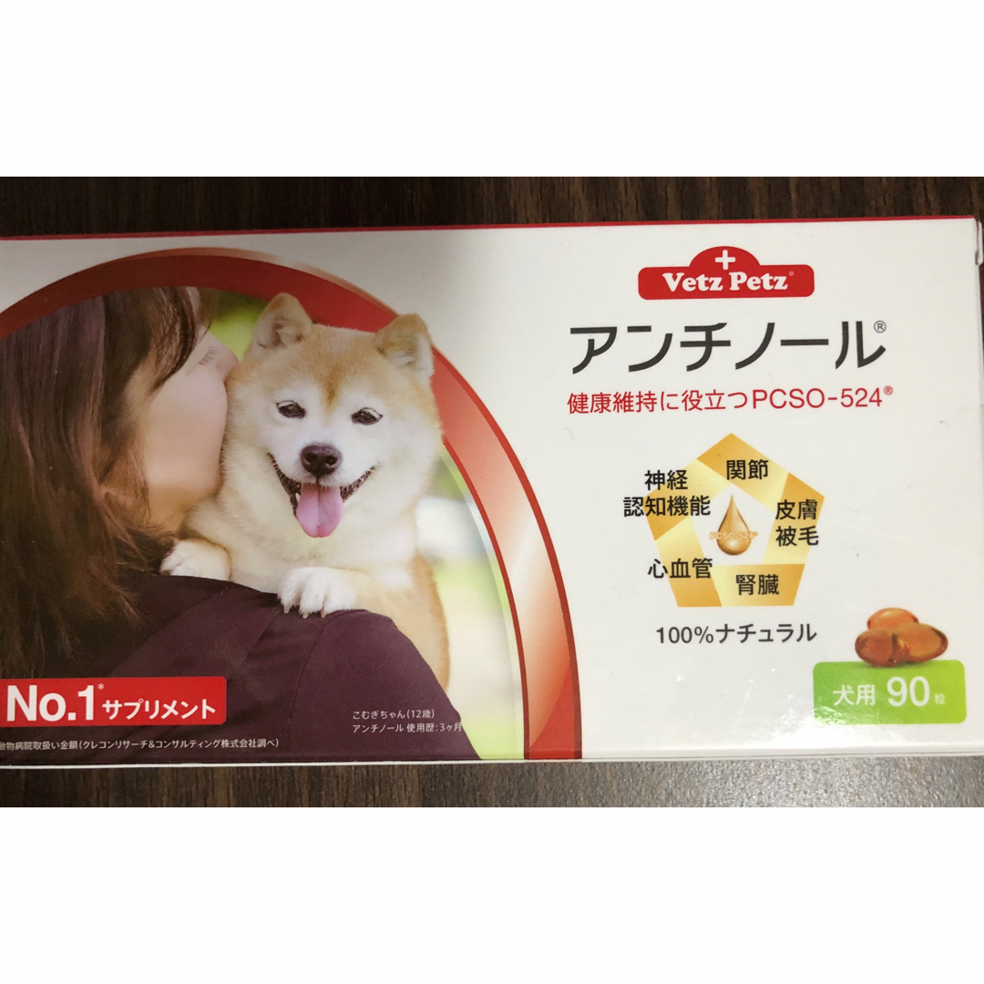 アンチノール 犬用90粒-